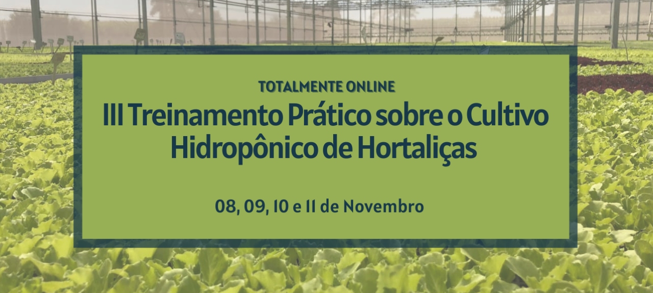 III TREINAMENTO PRÁTICO SOBRE O CULTIVO HIDROPÔNICO DE HORTALIÇAS (104121)