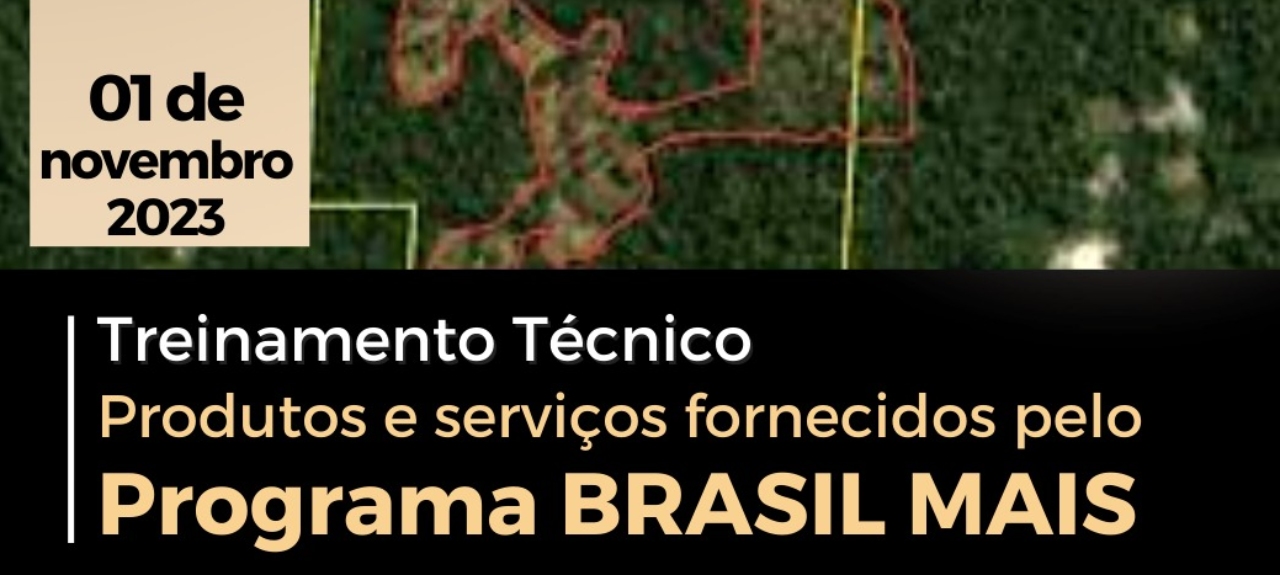 Treinamento Técnico - Produtos e serviços fornecidos pelo Programa Brasil MAIS.