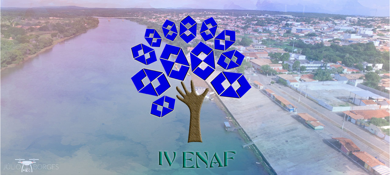 IV ENAF