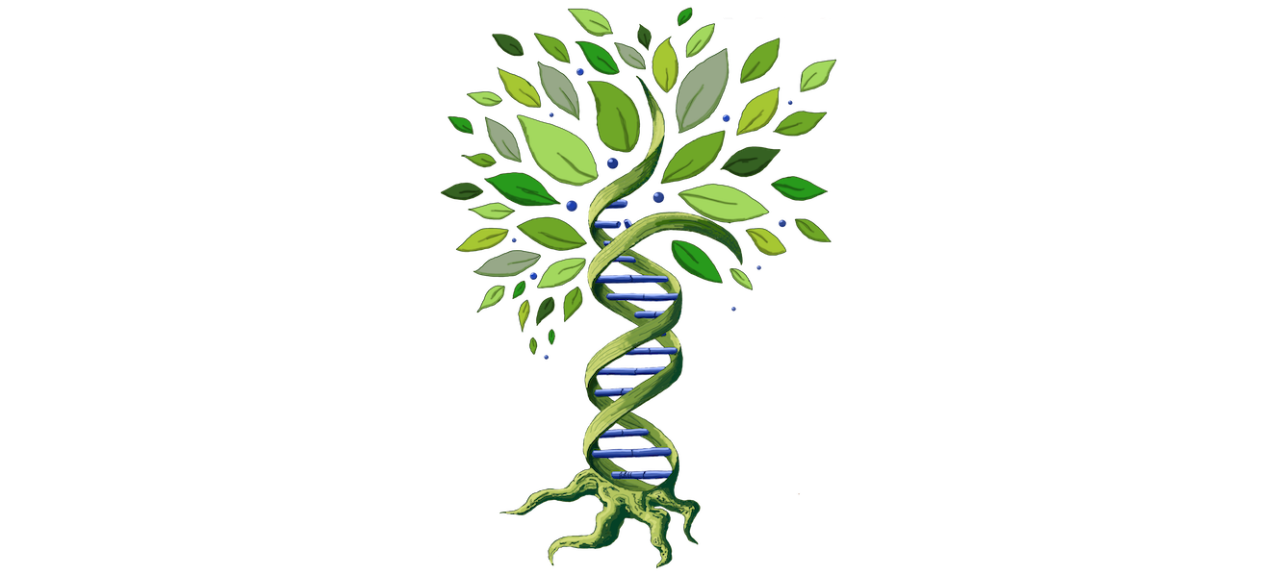 Tecnologias genômicas para o estudo de interação entre DNA e complexos proteicos em plantas