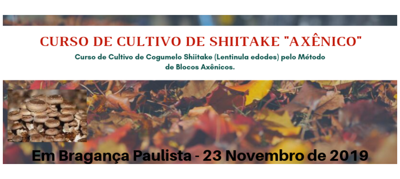 .Curso de Cultivo de Shiitake Axênico
