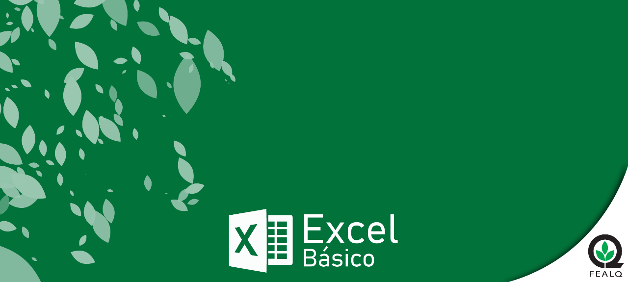 WORKSHOP BASICO DE EXCEL (103654)