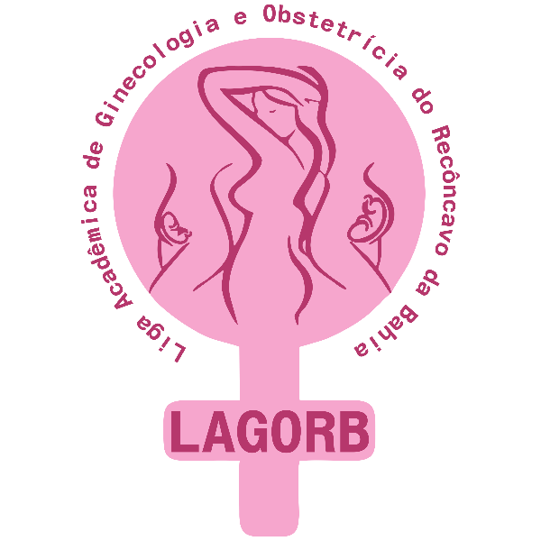 LAGORB  - UFRB: Minicurso de Partograma