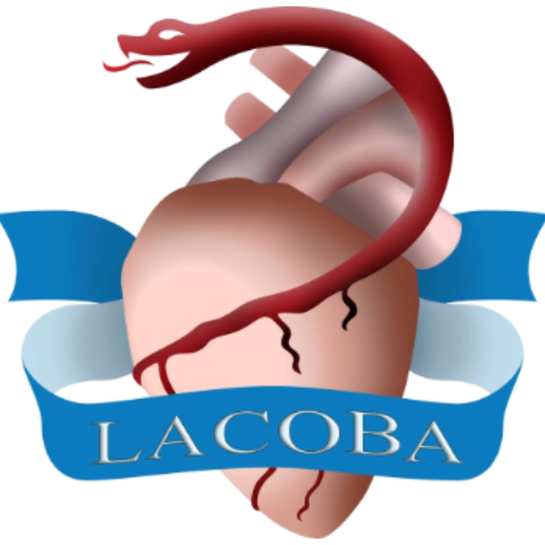 LACOBA - UFBA: Minicurso de Eletrocardiograma