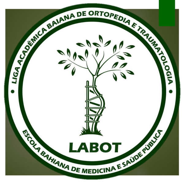 LABOT - EBMSP: Minicurso com Capacitação de Tala Gessada e Redução