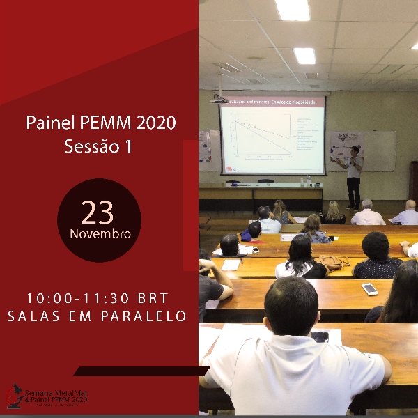 Sessão Painel PEMM 1