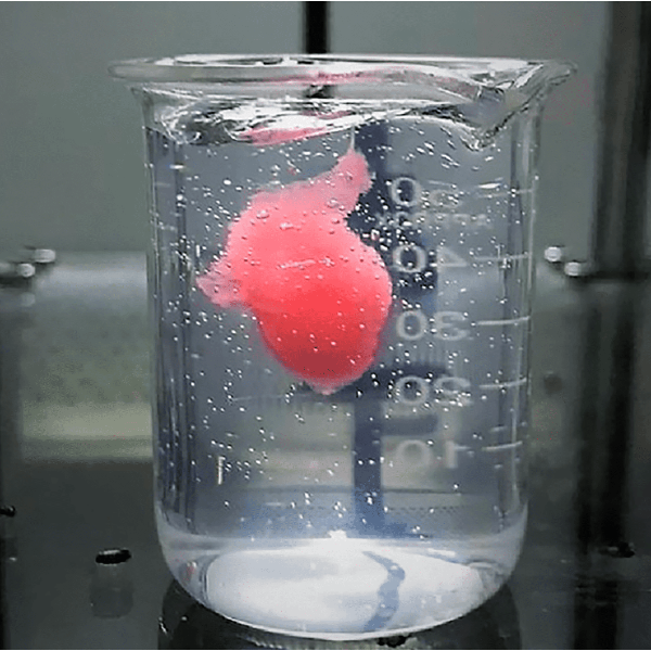 O papel do engenheiro químico no desenvolvimento de biomateriais e bioimpressão 3D			