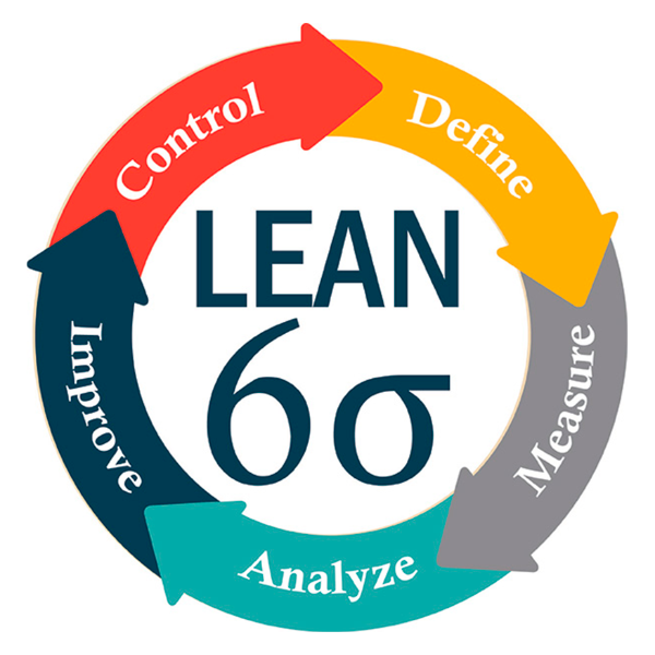 Introdução ao Lean Six Sigma [M02] [Intelekta DI]