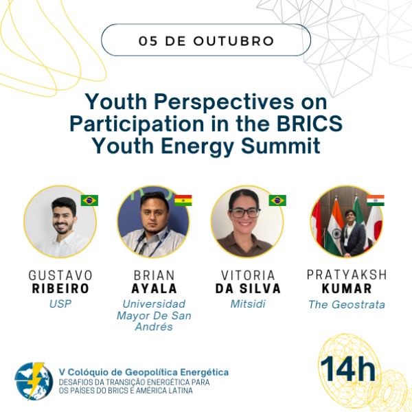 Youth Perspectives on Participation in the BRICS Youth Energy Summit