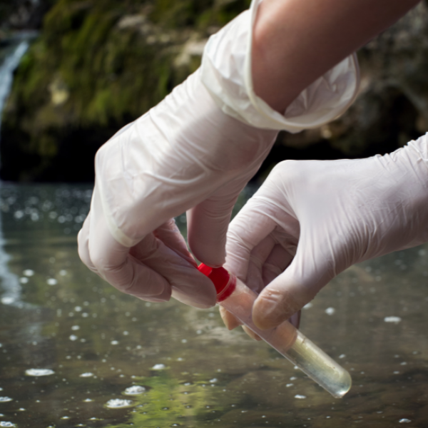 Extração e quantificação de DNA ambiental em amostras de água