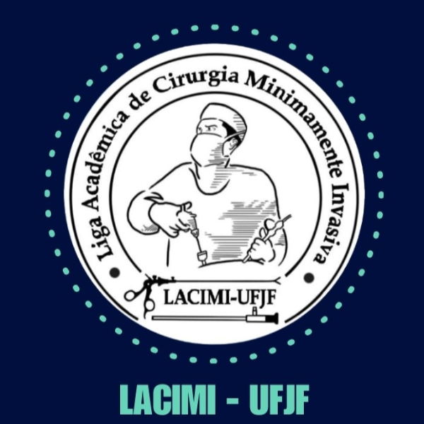 Workshop LACIMI-UFJF (1º turno)