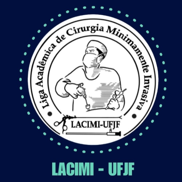Workshop LACIMI-UFJF (2º turno)