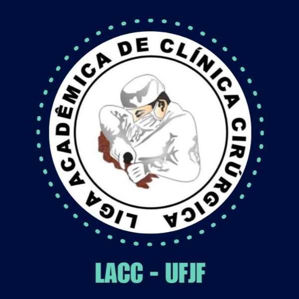 Workshop LACC - UFJF (1º turno)