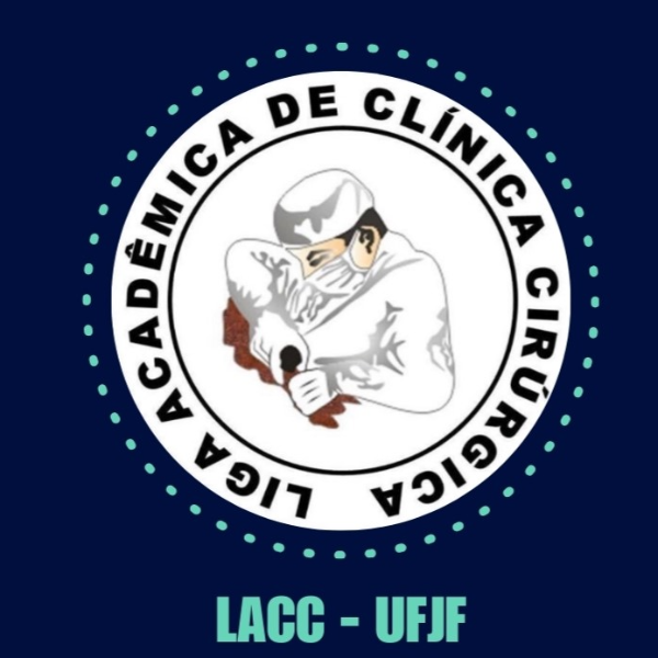 Workshop LACC - UFJF (2º turno)