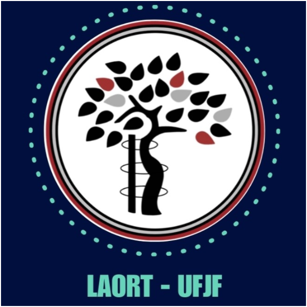 Workshop LAORT - UFJF (1º turno)