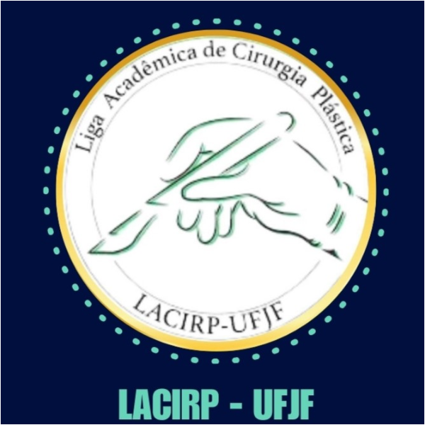 Workshop LACIRP - UFJF (1º turno)