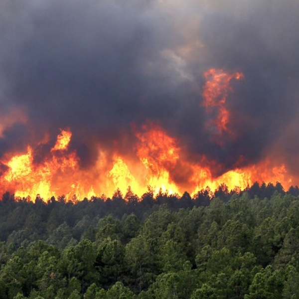 Prevenção e Combate aos Incêndios Florestais