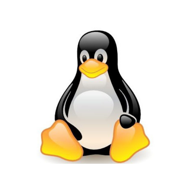 Install Fest - aprenda a instalar o GNU Linux