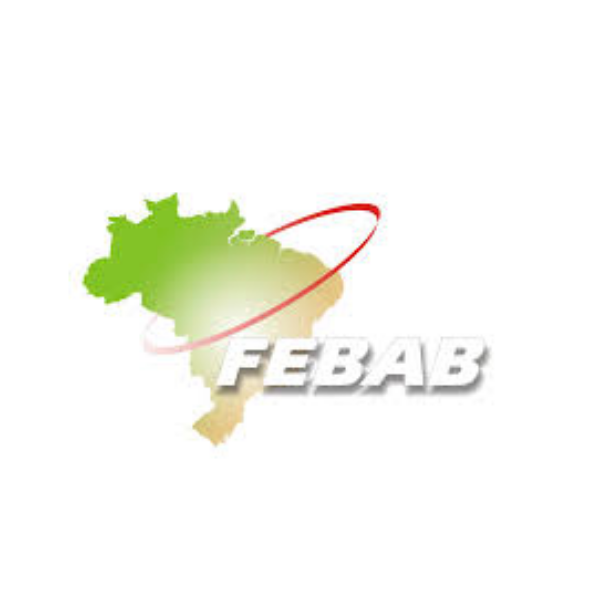 Federação Brasileira de Associações de Bibliotecários –FEBAB