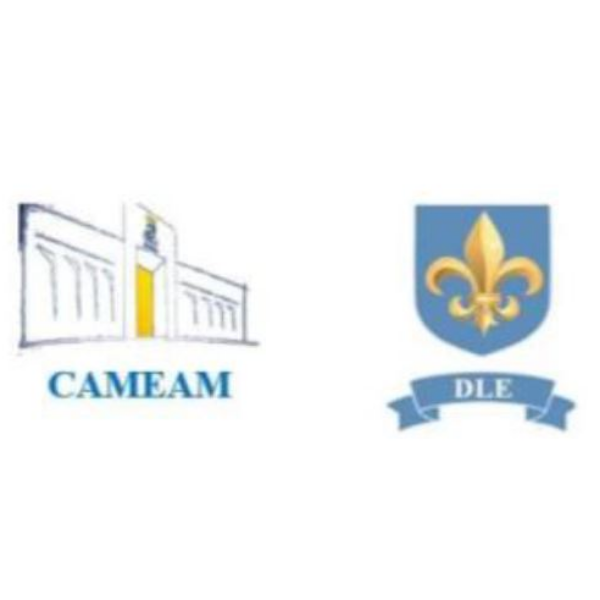 DLE CAMEAM