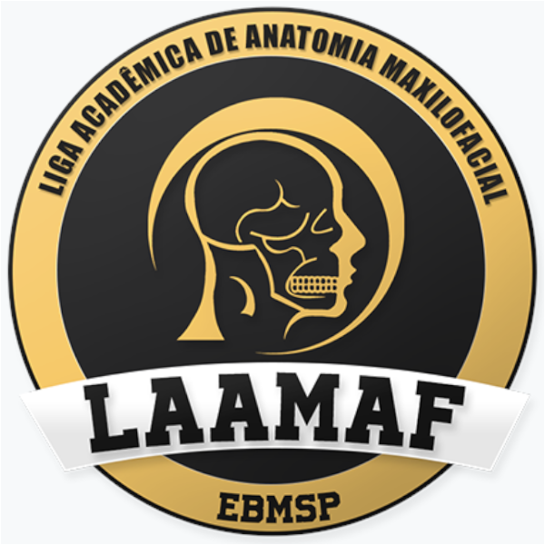 LAAMAF-EBMSSP