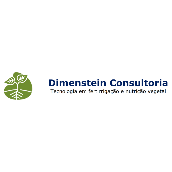 Dimenstein Consultoria