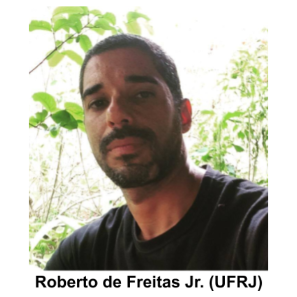 Roberto de Freitas Junior