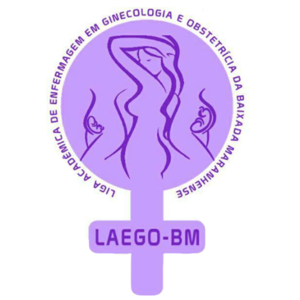 Liga Acadêmica de Enfermagem em Ginecologia e Obstetrícia da Baixada Maranhense (LAEGO-BM)