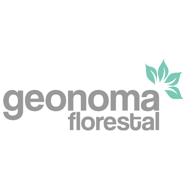 Geonoma Florestal