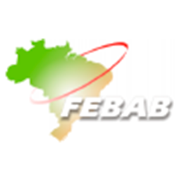 Federação Brasileira de Associações de Bibliotecários, Cientistas da Informação e Instituições - FEBAB