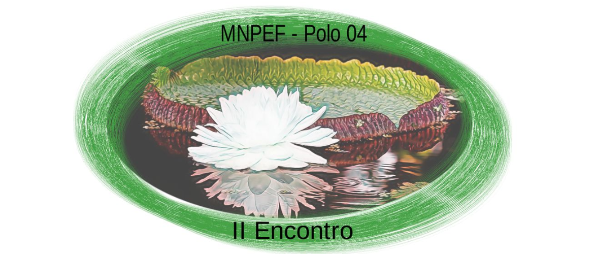 II Encontro do MNPEF - Polo 04