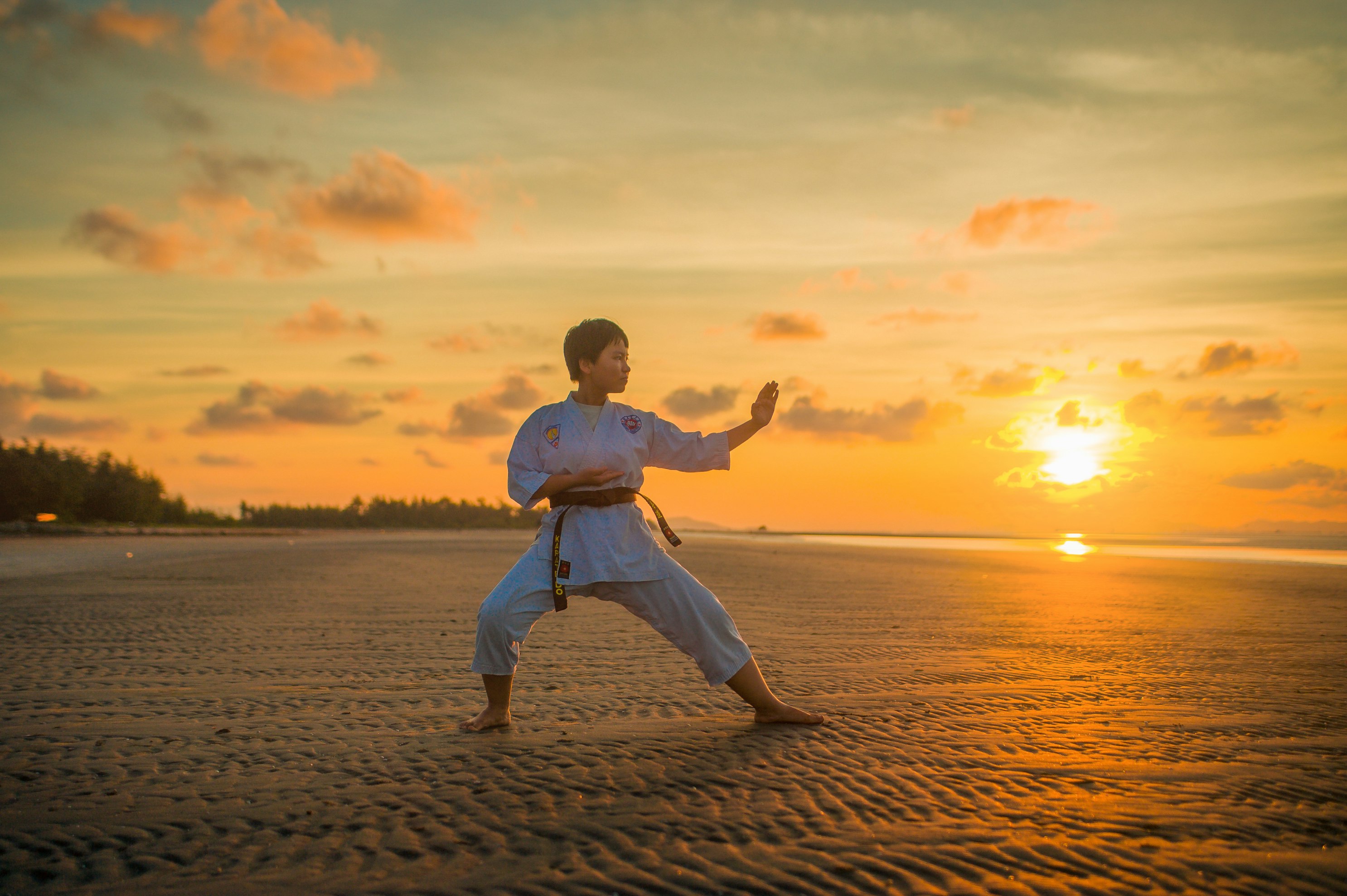 Campeonatos de artes marciais